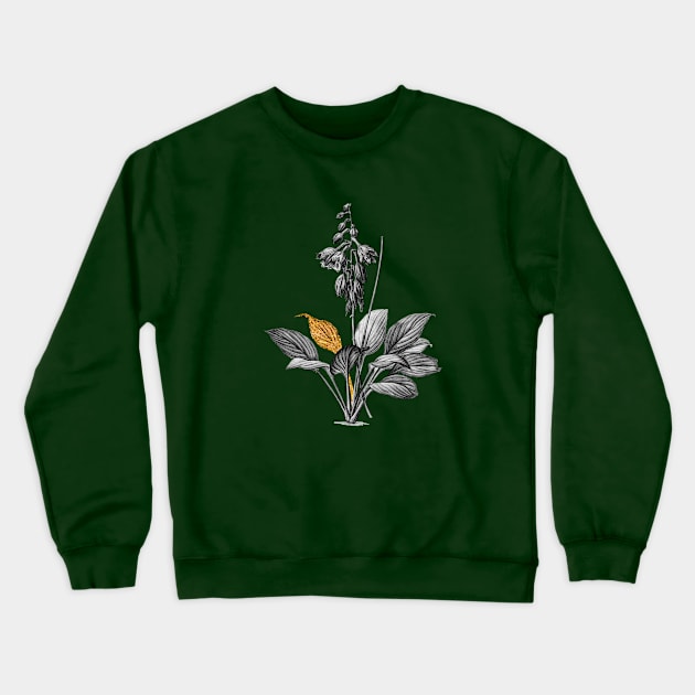 Black and Gold Leaf - Daylily - Vintage Botanical Crewneck Sweatshirt by Holy Rock Design